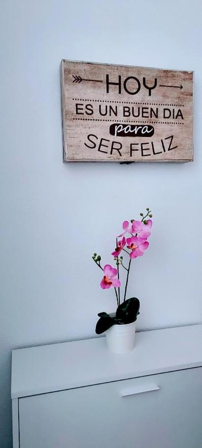 Apartamento Viena VI Benidorm Exteriér fotografie