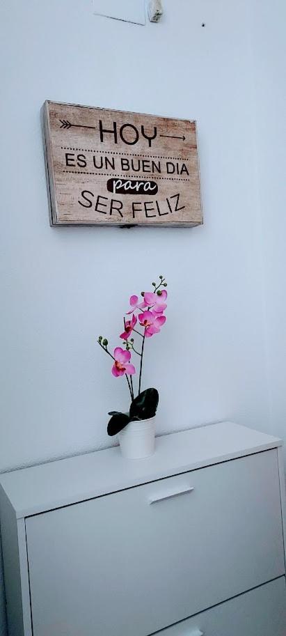 Apartamento Viena VI Benidorm Exteriér fotografie